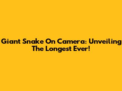 Giant Snake On Camera: Unveiling The Longest Ever!