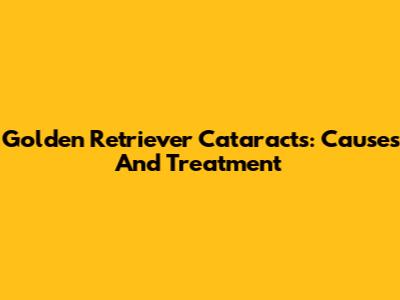 Golden Retriever Cataracts: Causes And Treatment