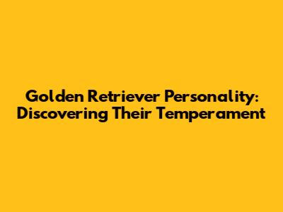 Golden Retriever Personality: Discovering Their Temperament