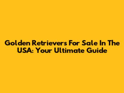 Golden Retrievers For Sale In The USA: Your Ultimate Guide