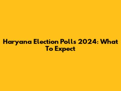 Haryana Election Polls 2024: What To Expect