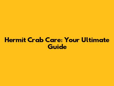 Hermit Crab Care: Your Ultimate Guide