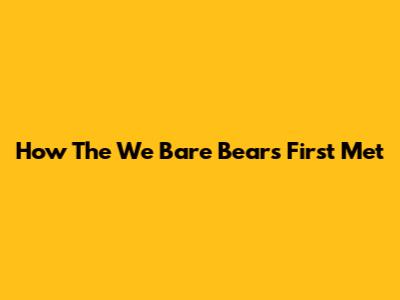 How The We Bare Bears First Met
