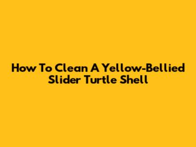 How To Clean A Yellow-Bellied Slider Turtle Shell