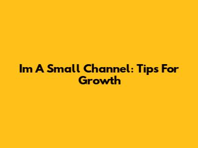I'm A Small Channel: Tips For Growth