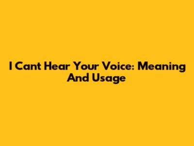 I Can't Hear Your Voice: Meaning And Usage