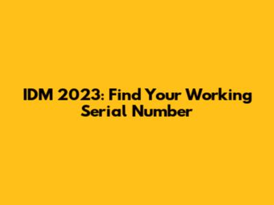 IDM 2023: Find Your Working Serial Number