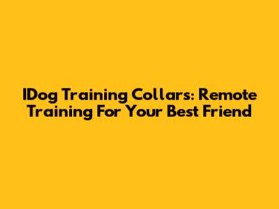 IDog Training Collars: Remote Training For Your Best Friend