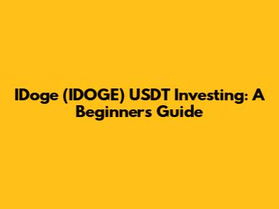 IDoge (IDOGE) USDT Investing: A Beginner's Guide
