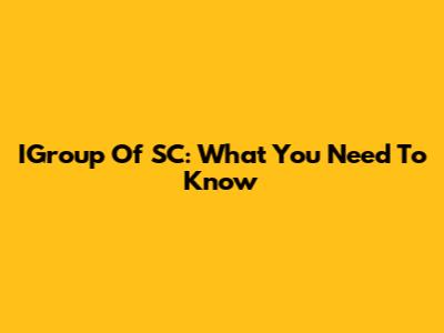 IGroup Of SC: What You Need To Know