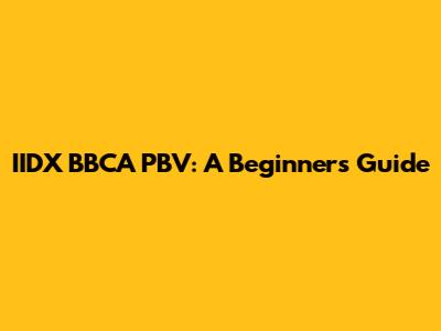 IIDX BBCA PBV: A Beginner's Guide