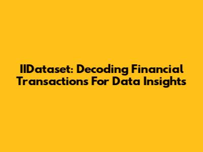 IIDataset: Decoding Financial Transactions For Data Insights