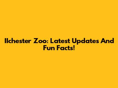 IIchester Zoo: Latest Updates And Fun Facts!
