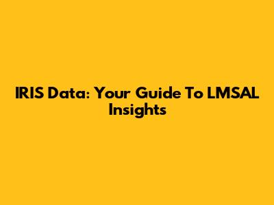 IRIS Data: Your Guide To LMSAL Insights