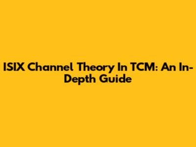 ISIX Channel Theory In TCM: An In-Depth Guide