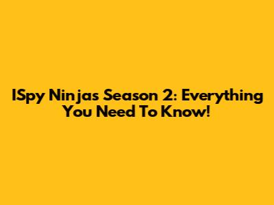 ISpy Ninjas Season 2: Everything You Need To Know!