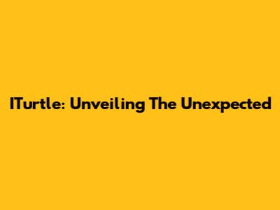 ITurtle: Unveiling The Unexpected