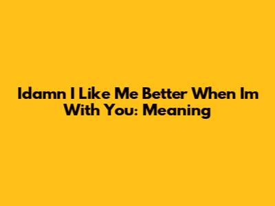 Idamn I Like Me Better When I'm With You: Meaning