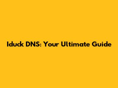Iduck DNS: Your Ultimate Guide