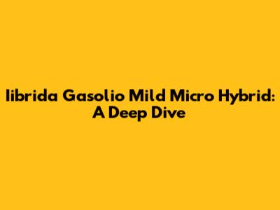 Iibrida Gasolio Mild Micro Hybrid: A Deep Dive