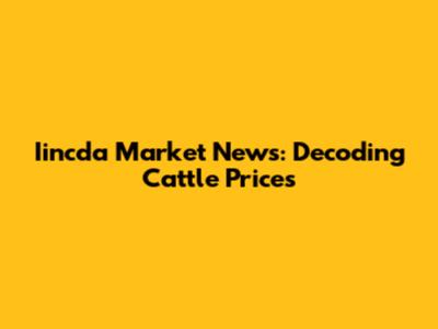 Iincda Market News: Decoding Cattle Prices