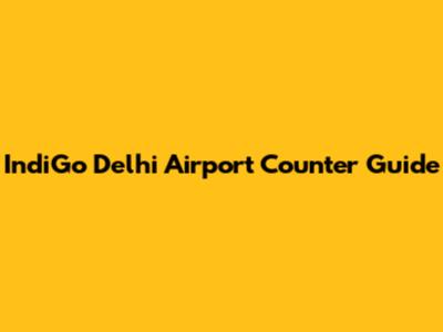 IndiGo Delhi Airport Counter Guide