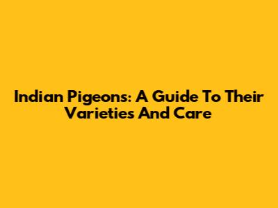 Indian Pigeons: A Guide To Their Varieties And Care
