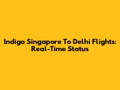 Indigo Singapore To Delhi Flights: Real-Time Status