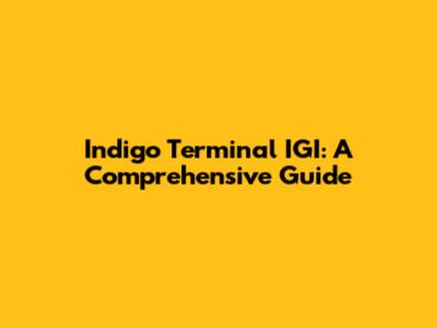 Indigo Terminal IGI: A Comprehensive Guide
