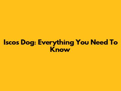 Isco's Dog: Everything You Need To Know