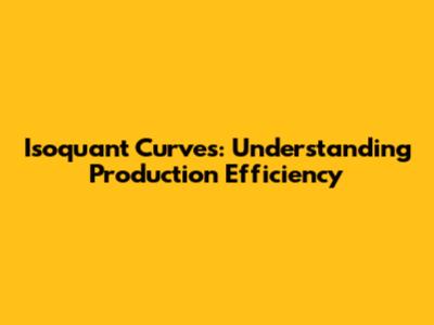 Isoquant Curves: Understanding Production Efficiency