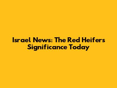 Israel News: The Red Heifer's Significance Today