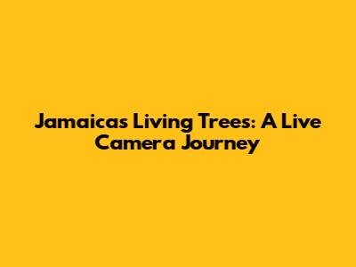 Jamaica's Living Trees: A Live Camera Journey