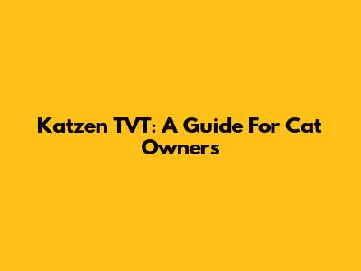 Katzen TVT: A Guide For Cat Owners