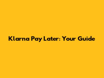 Klarna Pay Later: Your Guide