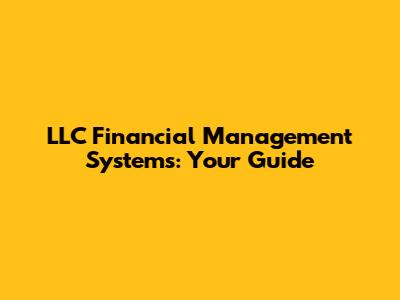 LLC Financial Management Systems: Your Guide