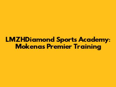 LMZHDiamond Sports Academy: Mokena's Premier Training