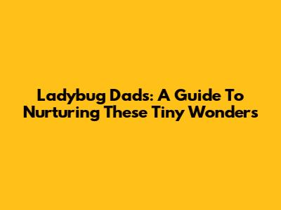 Ladybug Dads: A Guide To Nurturing These Tiny Wonders