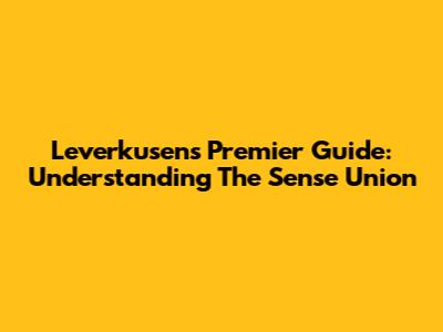 Leverkusen's Premier Guide: Understanding The Sense Union