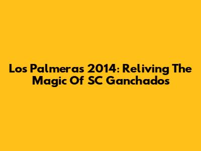 Los Palmeras 2014: Reliving The Magic Of SC Ganchados