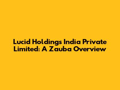 Lucid Holdings India Private Limited: A Zauba Overview