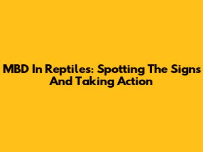 MBD In Reptiles: Spotting The Signs And Taking Action