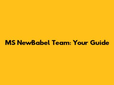 MS NewBabel Team: Your Guide