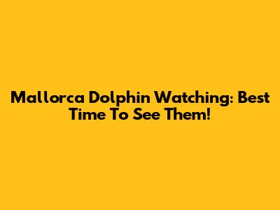 Mallorca Dolphin Watching: Best Time To See Them!