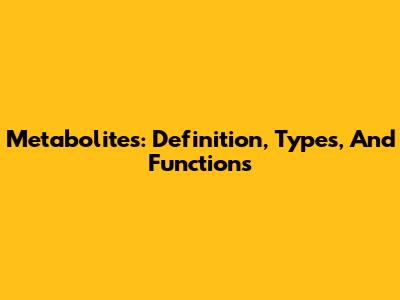 Metabolites: Definition, Types, And Functions