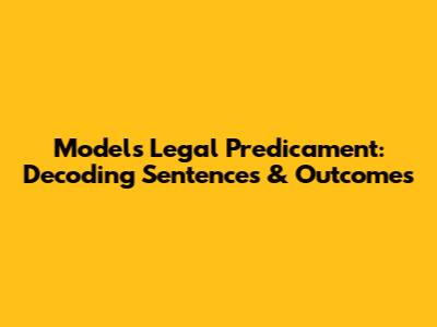 Model's Legal Predicament: Decoding Sentences & Outcomes
