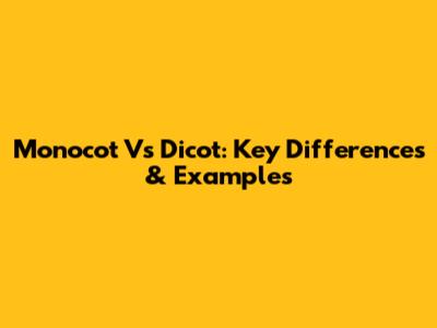 Monocot Vs Dicot: Key Differences & Examples