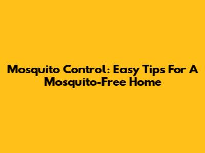 Mosquito Control: Easy Tips For A Mosquito-Free Home