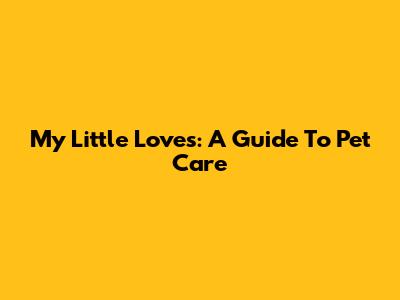 My Little Loves: A Guide To Pet Care