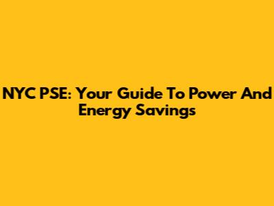NYC PSE: Your Guide To Power And Energy Savings